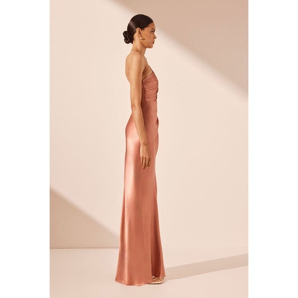 Shona Joy La Lune Asymmetrical Gathered Maxi Dress Antique Rose Size 4 NWT - Picture 15 of 15